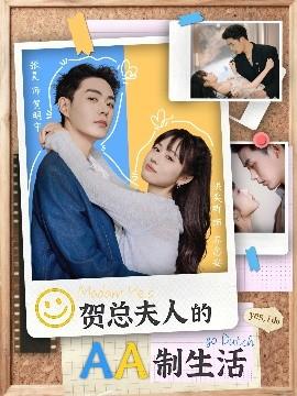 贺总夫人的AA制生活(全集)